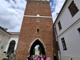 49564851811540765265202947624129684046542427n